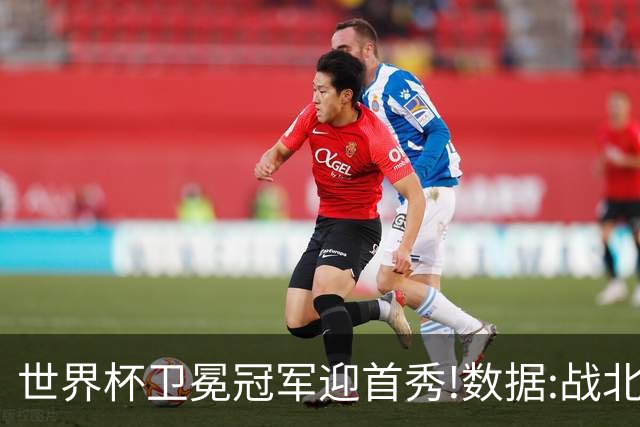 世界杯卫冕冠军迎首秀!数据:战北非之狐望小胜